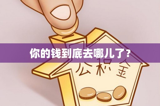 鄂托克前旗你的钱到底去哪儿了？