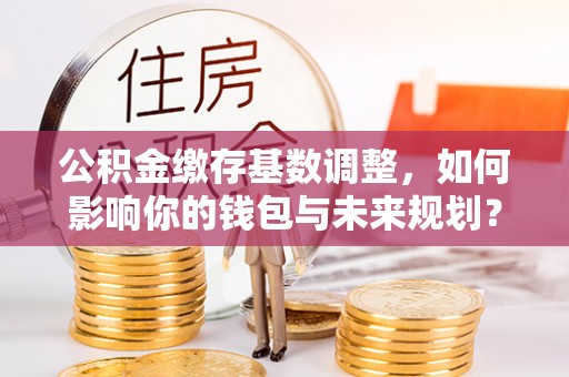 鄂托克前旗公积金缴存基数调整，如何影响你的钱包与未来规划？