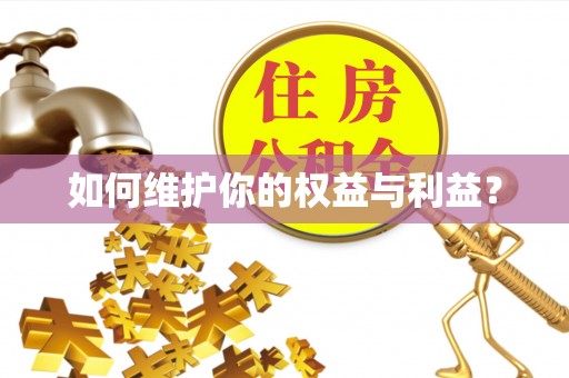 鄂托克前旗如何维护你的权益与利益？