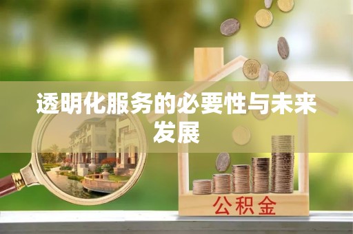 鄂托克前旗透明化服务的必要性与未来发展