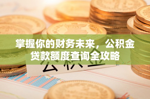 鄂托克前旗掌握你的财务未来，公积金贷款额度查询全攻略