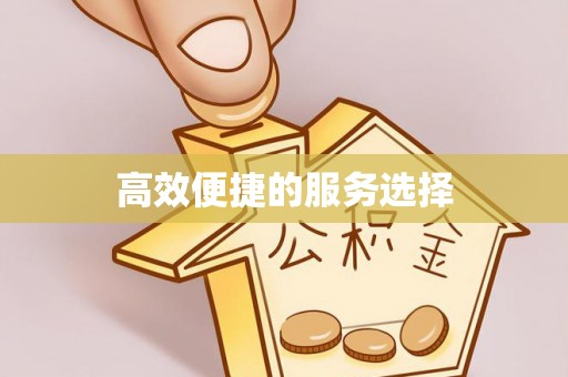 鄂托克前旗高效便捷的服务选择