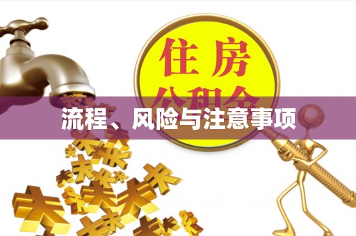 鄂托克前旗流程、风险与注意事项