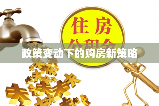 鄂托克前旗政策变动下的购房新策略