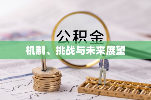 鄂托克前旗机制、挑战与未来展望
